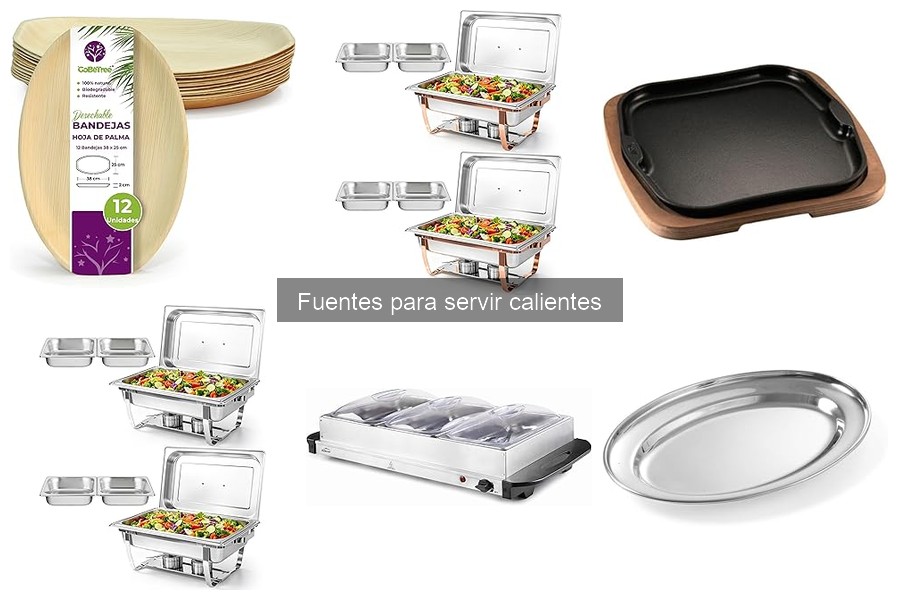 Mejores ofertas en fuentes para servir calientes 2023